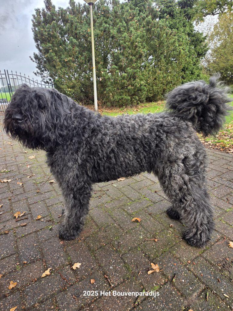 Chloë is hier bijna 2 jaar